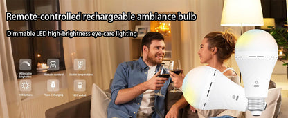 Rechargeable LED Bulb