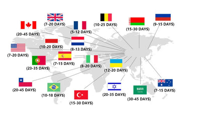 Hygienic Disposable Toilet Brush