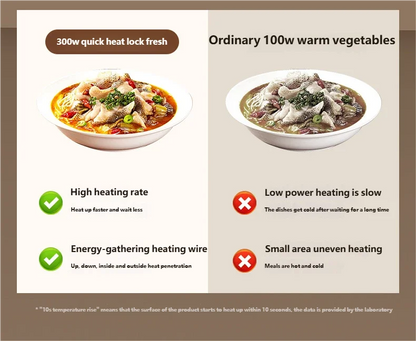 Electric Food Warming Tray