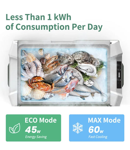 Alpicool NL Series Portable Car Refrigerator