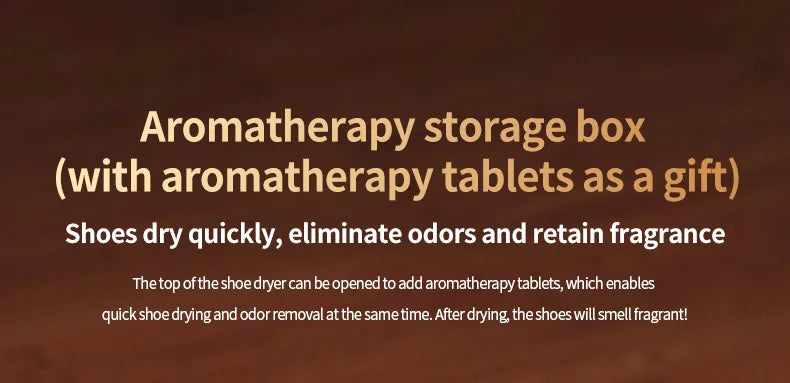 Six Arm Foldable Shoe Dryer