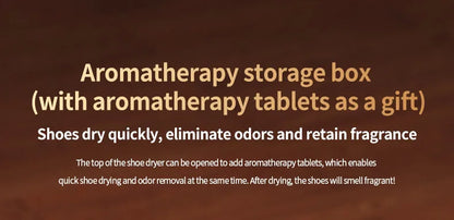 Six Arm Foldable Shoe Dryer