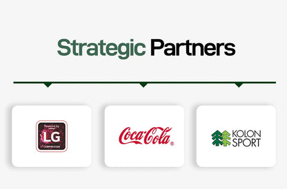 Alpicool NL Series Portable Car Refrigerator